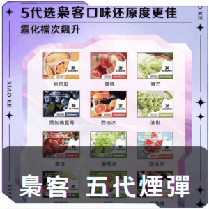 【B倉庫】XIAOKE梟客5代煙彈
